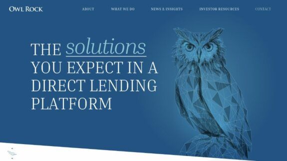 LL_Portfolio Blue Owl